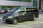 MERCEDES VIANO